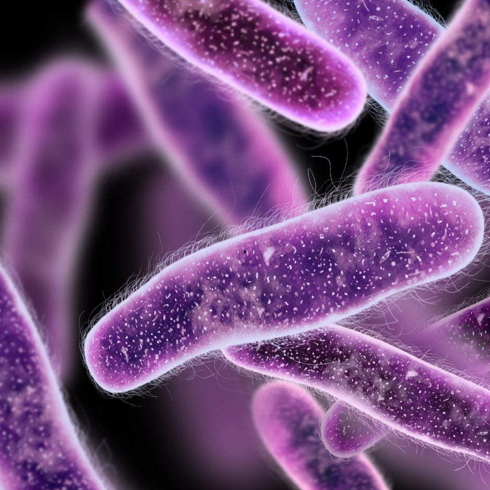 Untitled design (15)