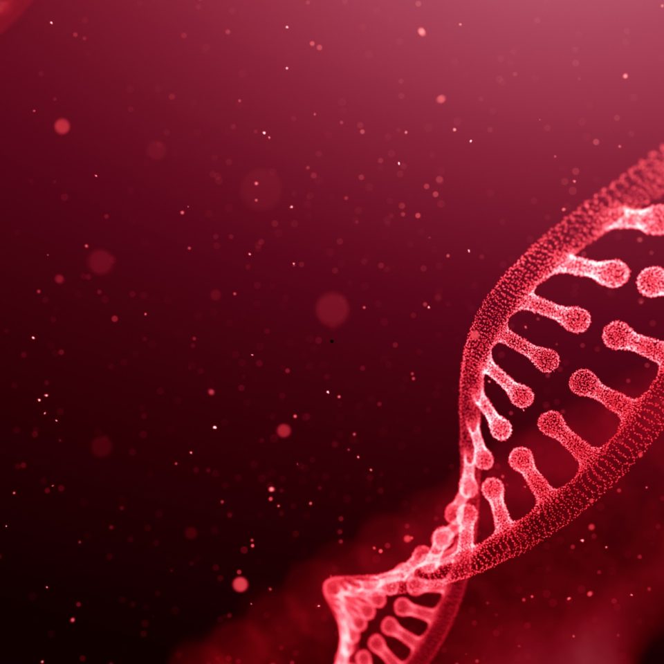 Untitled design (26)